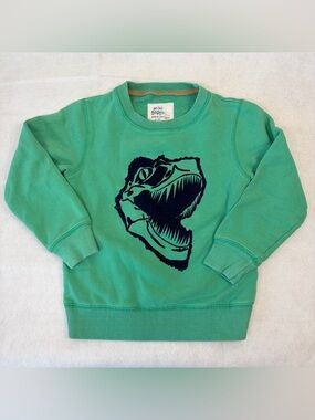 Mini Boden 4-5Y Velvet Dino Raptor Face Crewneck Sweatshirt
